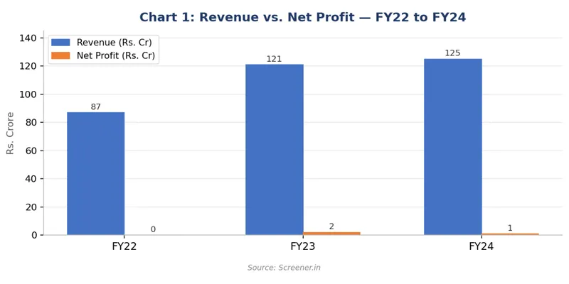Revenue vs. Net Profit — FY22 to FY24